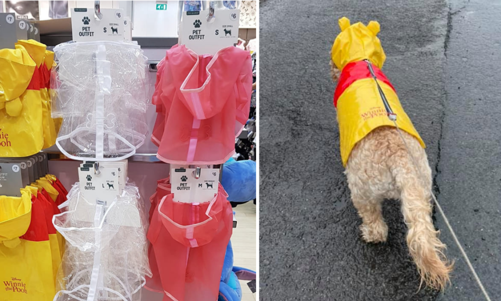 Primark is now selling raincoats for dogs Proper Manchester