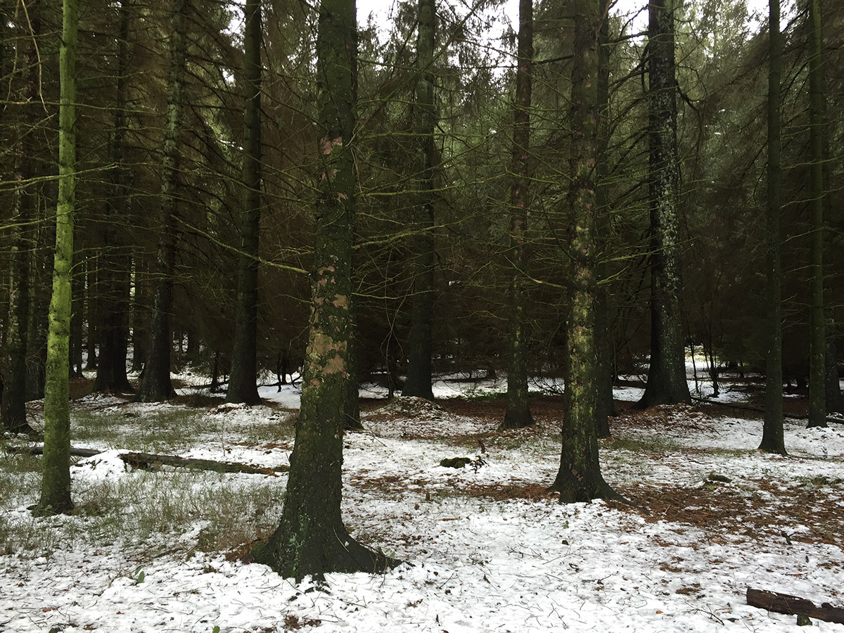 macclesfield forest cycling