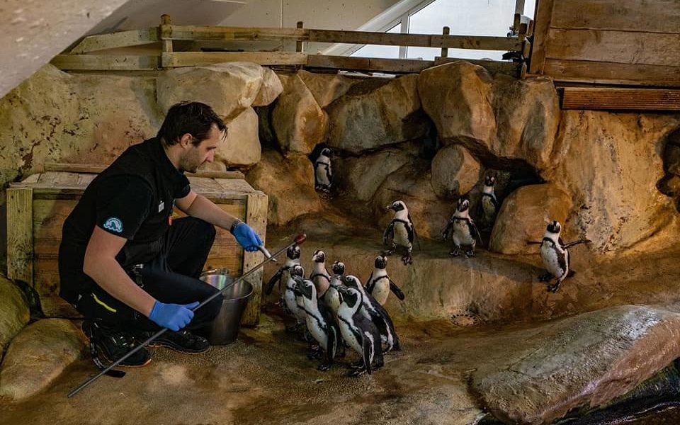 Manchester Zoo is one step closer after 150acre site is found Proper Manchester