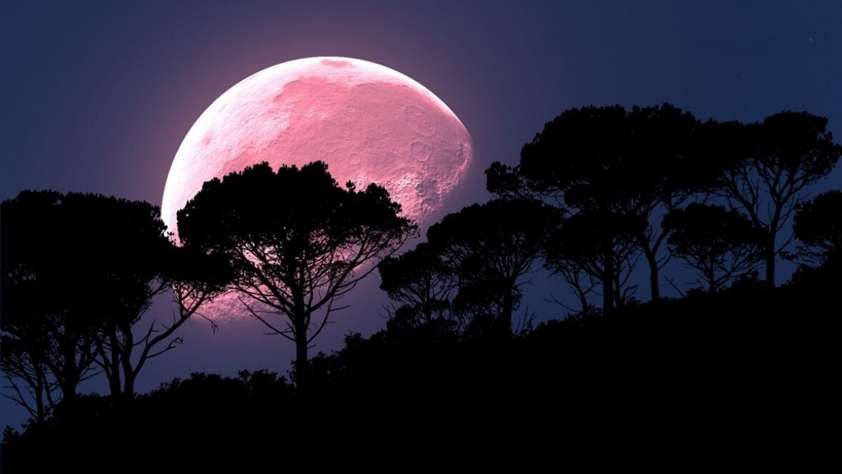 A super pink moon is going to brighten up the sky over the ...