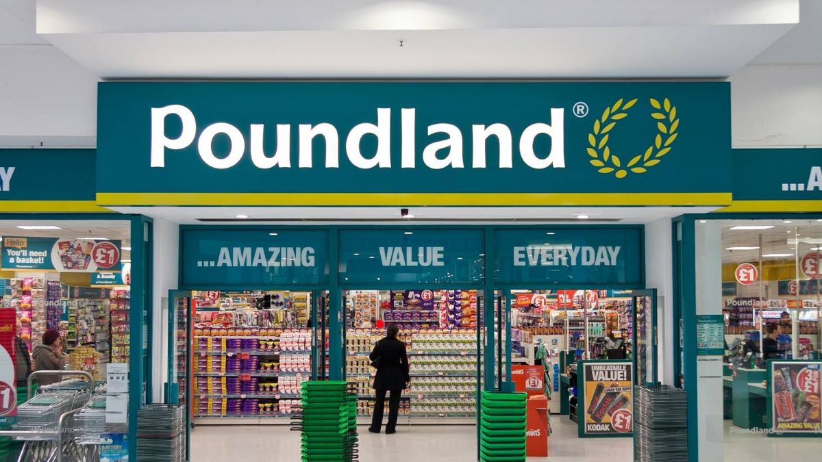 poundland travel pillow