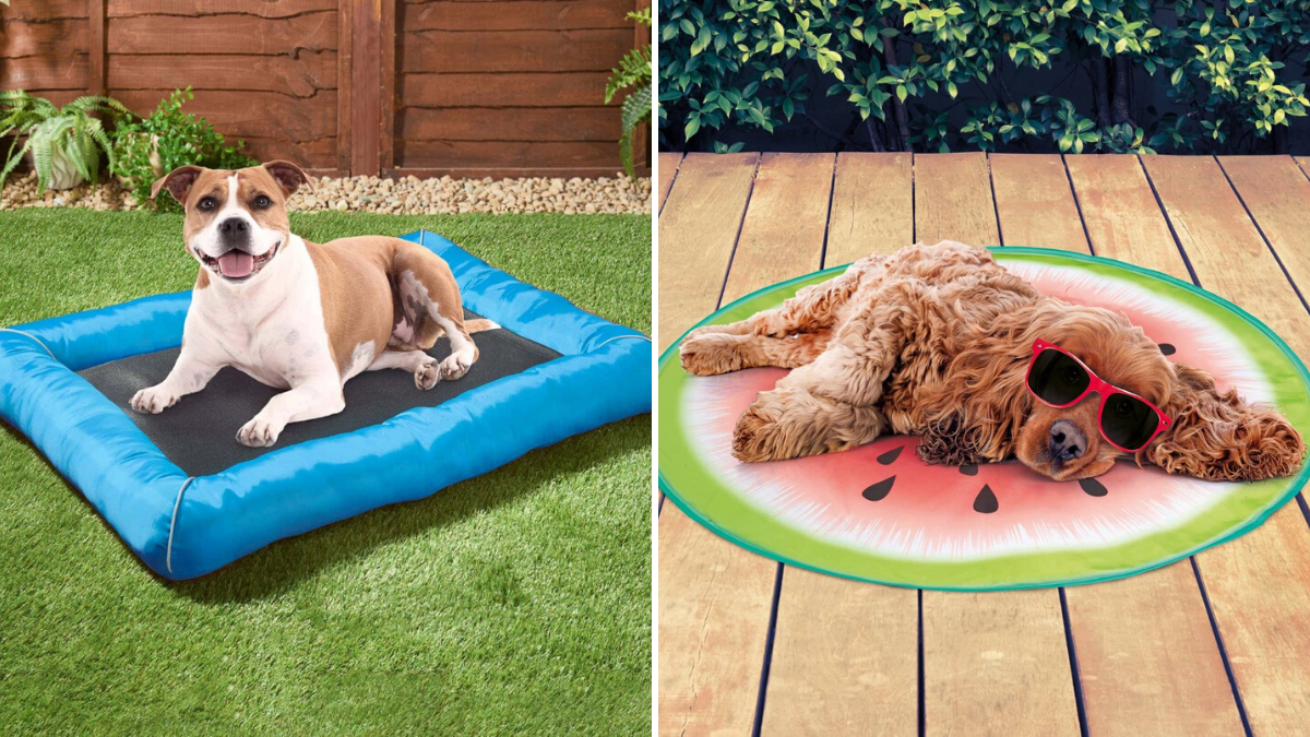 Dogs rock clearance cooling mat