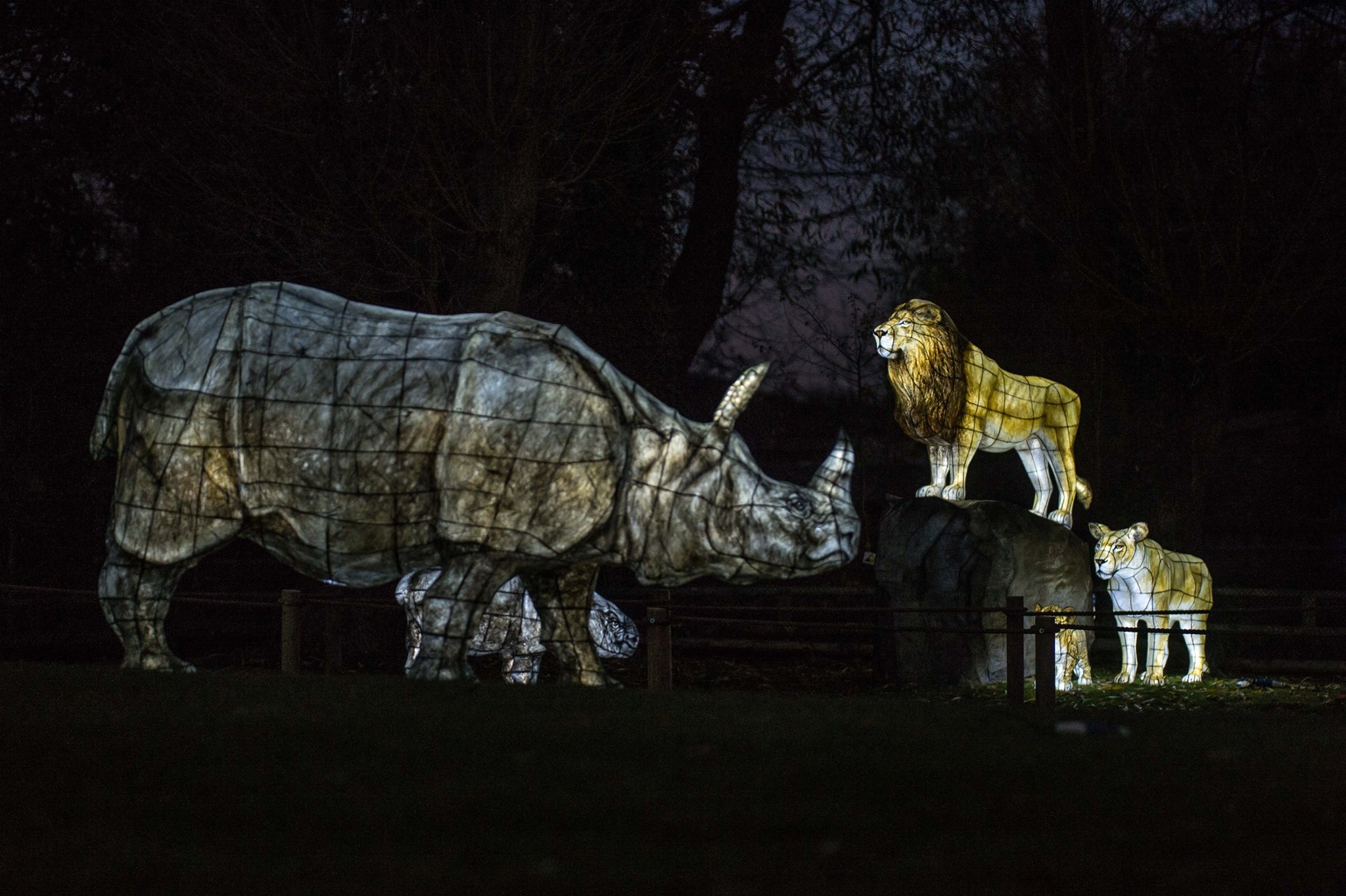 Chester zoo lanterns 2020 Chester Zoo’s epic Christmas Lanterns event is returning this year