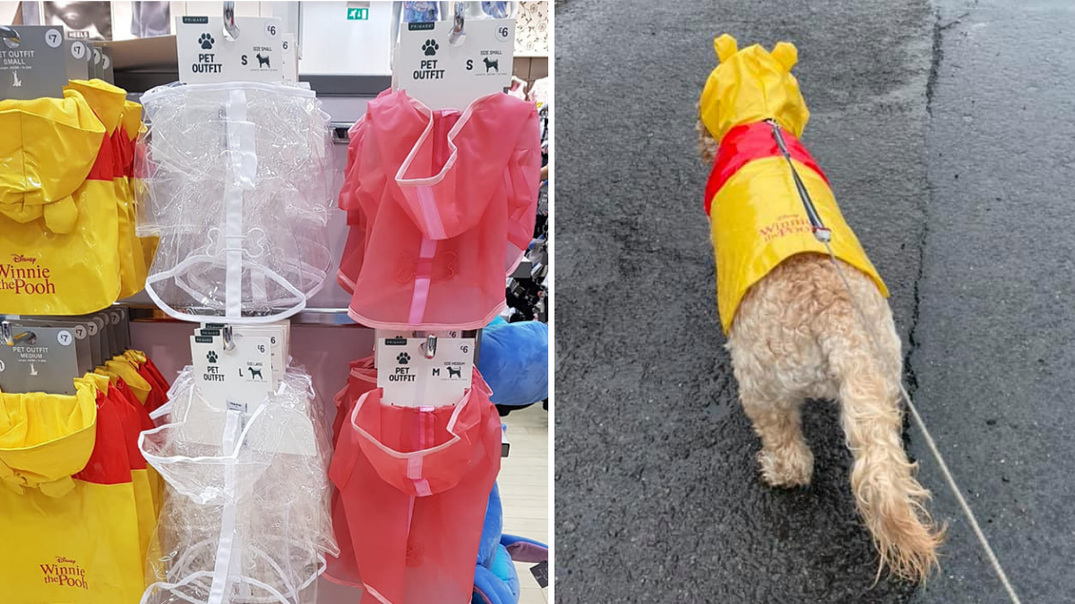 primark dog rain coat