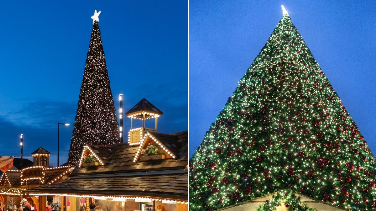 Ferdinand Christmas Tree Lighting 2022 The Uk's Tallest Christmas Tree With 100,000 Baubles Has Been Unveiled