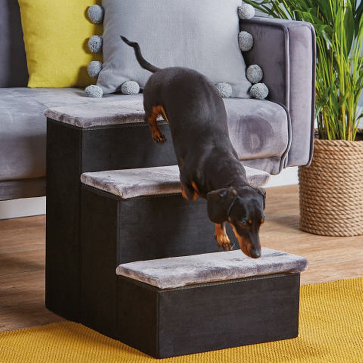 Aldi is selling pet stairs so small dogs and cats can join you on the sofa